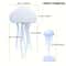 Bionic Jellyfish Night Light Voice Control Jellyfish Lamp With Floating RGB Glow For Bedroom Decor 4