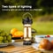 DOTWISE Retro Camping Lantern 3000mAh Waterproof Portable Tent Light 2