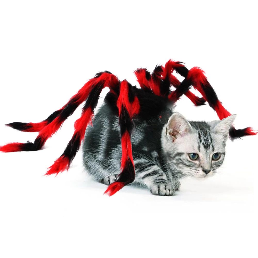 Spooky Wings Pet Costume Halloween Pet Costume With Bat Wings Spider Harness For Cats And Dogs 2