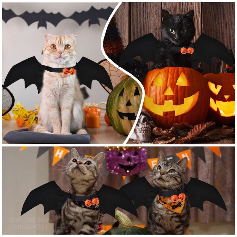 Spooky Wings Pet Costume Halloween Pet Costume With Bat Wings Spider Harness For Cats And Dogs 3