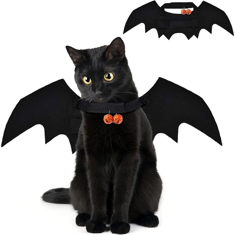 Spooky Wings Pet Costume Halloween Pet Costume With Bat Wings Spider Harness For Cats And Dogs 7
