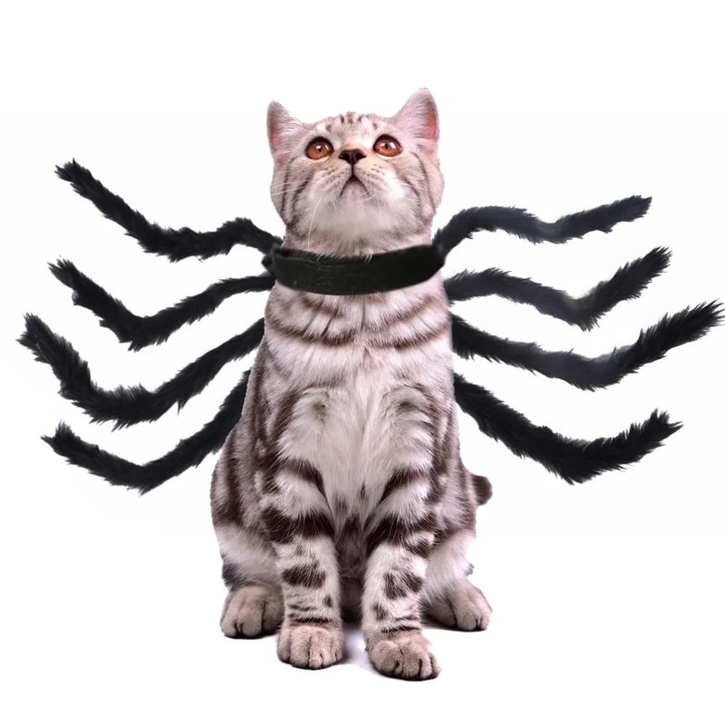 Spooky Wings Pet Costume Halloween Pet Costume With Bat Wings Spider Harness For Cats And Dogs 8