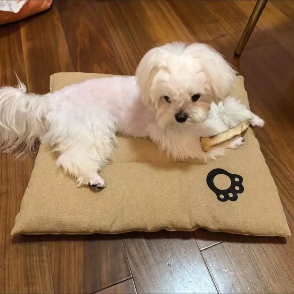 CloudRest XL Pet Sofa Bed Extra Large Dog Bed ScratchResistant AllSeason Cat Mat 1