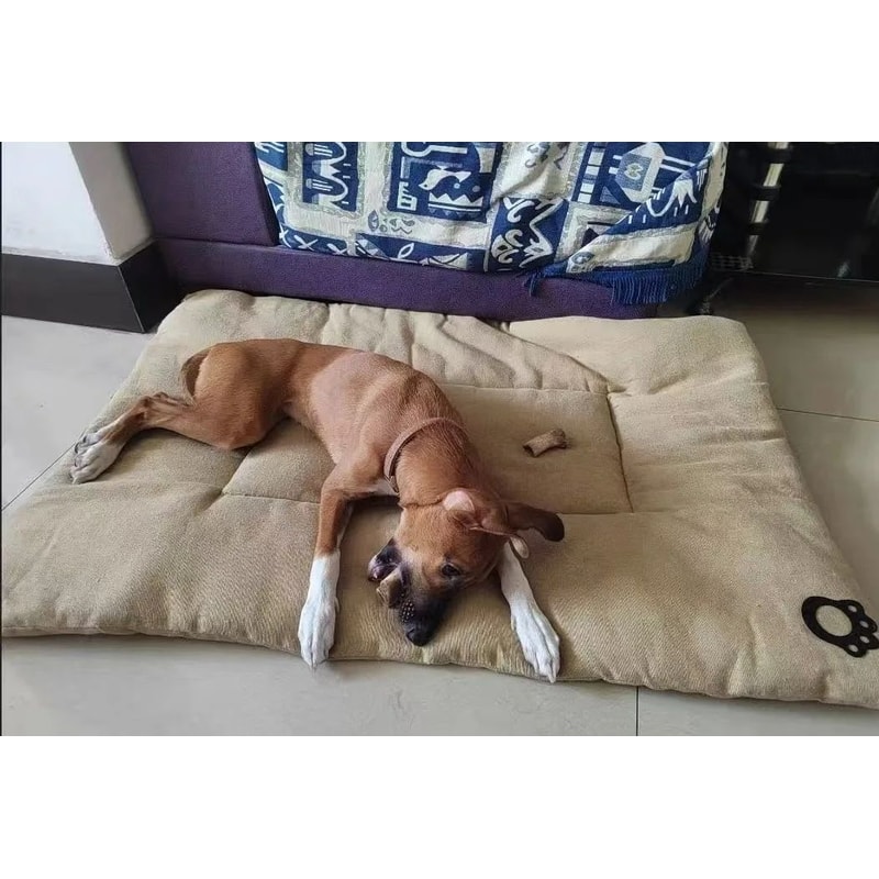 CloudRest XL Pet Sofa Bed Extra Large Dog Bed ScratchResistant AllSeason Cat Mat 5