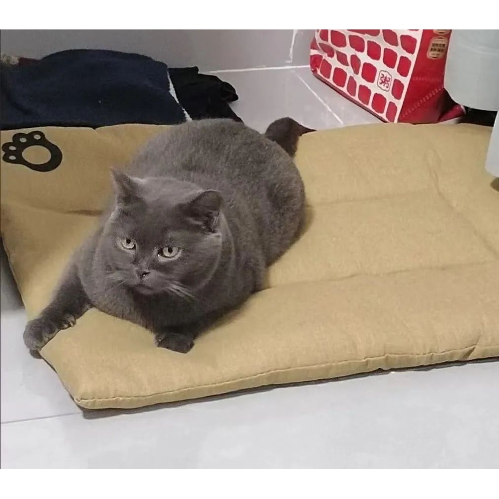 CloudRest XL Pet Sofa Bed Extra Large Dog Bed ScratchResistant AllSeason Cat Mat 8