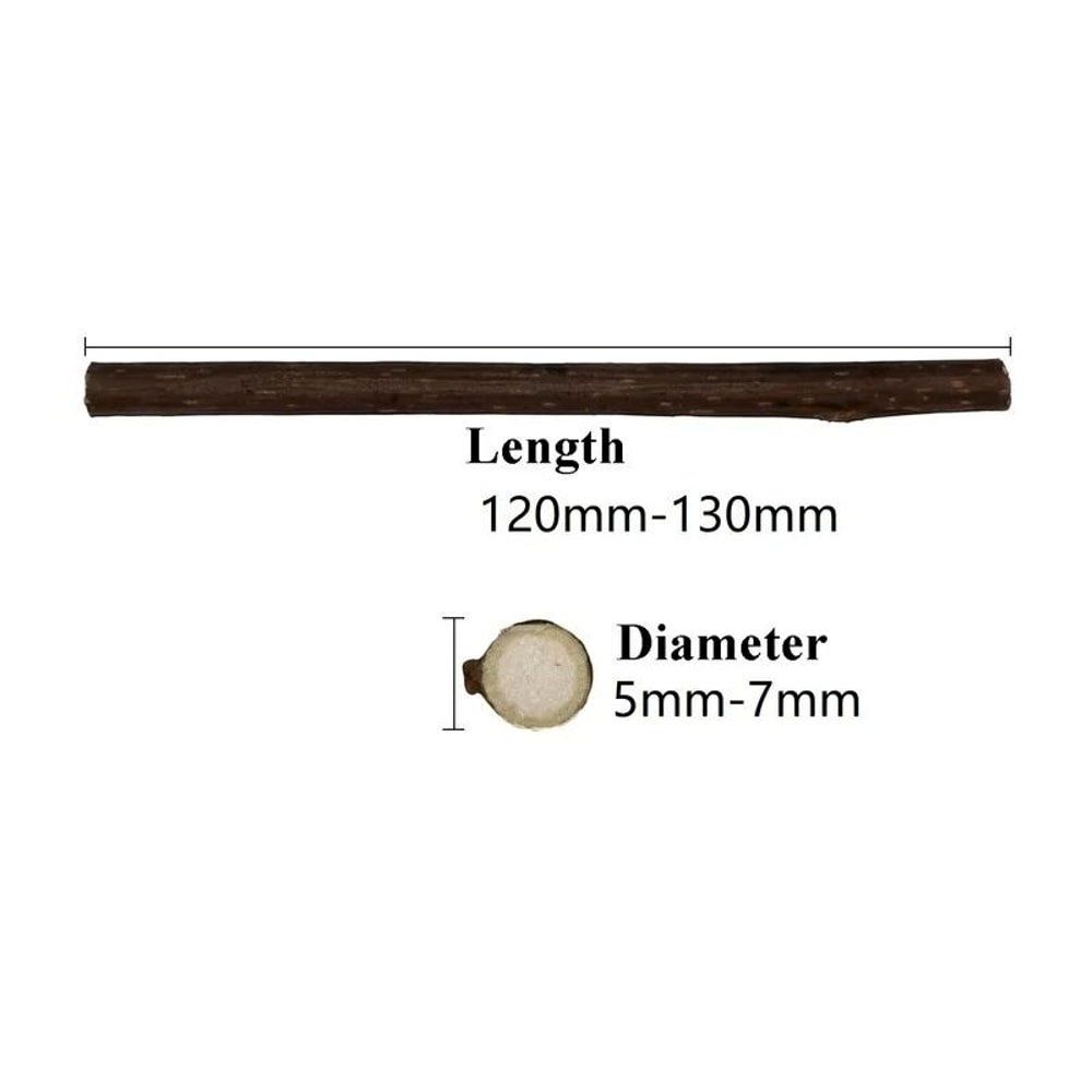 MintJoy Mega Pack Catnip Toys For Cats With Natural Mint For Endless Play 1