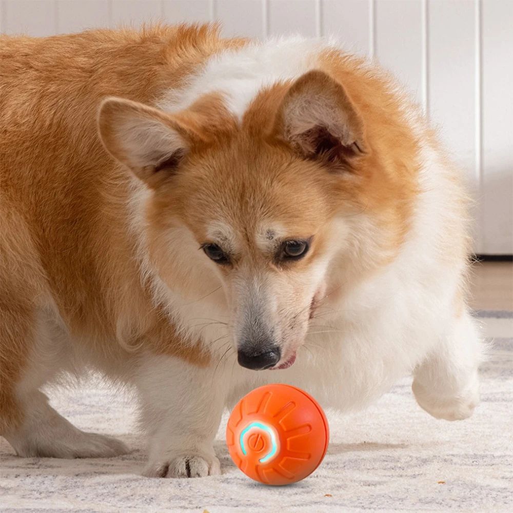 BounceMate Active Play Ball Smart Dog Toy Ball Interactive Rolling Toy For Dogs And Cats 1