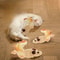 Sisal Plush Mouse Cat Toy Set Interactive BiteResistant SelfPlay Mice 4pcs 2