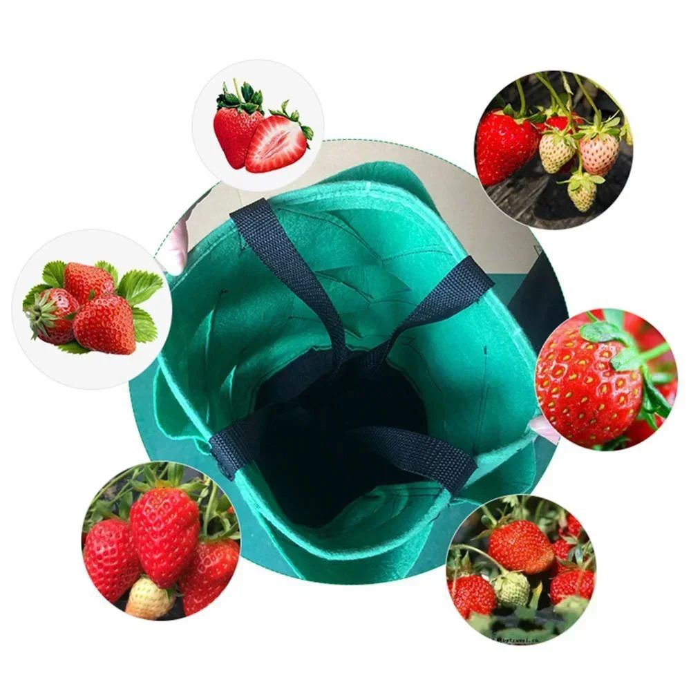 Hanging Strawberry Grow Bag SpaceSaving Plastic Planting Bag For Home Gardens 3