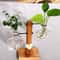 Vintage Hydroponic Glass Vase Desktop Plant Propagation Terrarium 0