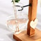 Vintage Hydroponic Glass Vase Desktop Plant Propagation Terrarium 2