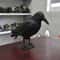 Realistic Black Crow Bird Repellent Outdoor Garden Bird Deterrent Decor 0