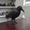 Realistic Black Crow Bird Repellent Outdoor Garden Bird Deterrent Decor 0