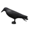 Realistic Black Crow Bird Repellent Outdoor Garden Bird Deterrent Decor 3