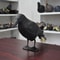 Realistic Black Crow Bird Repellent Outdoor Garden Bird Deterrent Decor 5