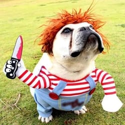 funny halloween dog costume with knife plush outfit for dogs and cats