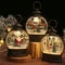 Lighted Christmas Snow Globe Lantern LED Holiday Night Light 5