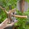 Fruit Tree Grafting Tool Pruning Scissors Multifunctional Grafting Machine 2