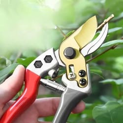 stainless steel garden pruning scissors for fruit trees and branches
