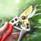 Stainless Steel Garden Pruning Scissors For Fruit Trees And Branches 0