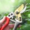 Stainless Steel Garden Pruning Scissors For Fruit Trees And Branches 0