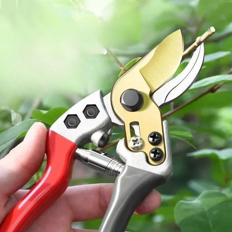 Stainless Steel Garden Pruning Scissors For Fruit Trees And Branches 0