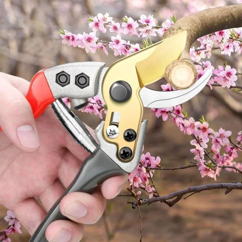 Stainless Steel Garden Pruning Scissors For Fruit Trees And Branches 2