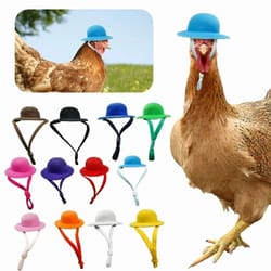 funny chicken hat for hens – mini top hat costume for chickens, ducks & small pets