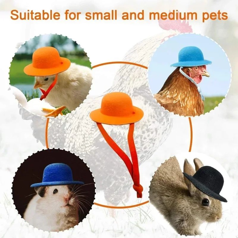Funny Chicken Hat For Hens Mini Top Hat Costume For Chickens Ducks Small Pets 2