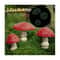 GlowShroom 3Piece Mini Mushroom Garden Decor GlowintheDark Fairy Garden Miniatures 4