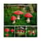 GlowShroom 3Piece Mini Mushroom Garden Decor GlowintheDark Fairy Garden Miniatures 5