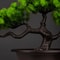27cm Artificial Pine Bonsai Tree Realistic Faux Plant For Desktop Home Decor 4