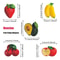 Cute Fruit Fridge Magnet Set 10Piece Flat Magnetic Tile Decorations 2