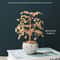 Natural Citrine Crystal Money Tree Feng Shui Energy Decor With Copper Wire Base 1