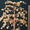 Natural Citrine Crystal Money Tree Feng Shui Energy Decor With Copper Wire Base 5