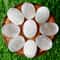 Natural Selenite Palm Stone Polished Crystal For Meditation Home Decor 1