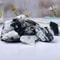 Natural Black Tourmaline And White Quartz Crystal Raw Healing Mineral Specimen 1