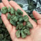100g Natural Green Apatite Raw Stone Rough Crystal For Reiki Home Decor 1