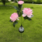 Solar Peony Flower Garden Lights 3Head Pink Waterproof LED Outdoor Pathway Decor 4