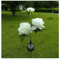Solar Peony Flower Garden Lights 3Head Pink Waterproof LED Outdoor Pathway Decor 5