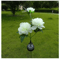 Solar Peony Flower Garden Lights 3Head Pink Waterproof LED Outdoor Pathway Decor 5