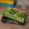 RusticCharm Vintage Wooden Succulent Planter Box Desktop Storage Organizer 0