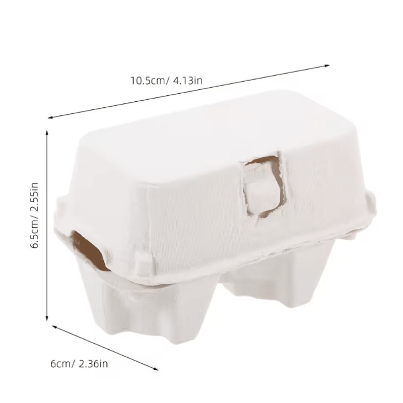 EcoPack 12 Cell Paper Pulp Egg Carton Tray Bulk Egg Storage Holder 4