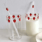 Cute Strawberry Glass Cup With Straw 300ML Borosilicate Aesthetic Drinking Tumbler 0
