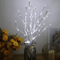 White Birch Branch LED Lights Battery Operated Decorative Twig Lamp 1