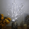 White Birch LED Branch Lights 20 LED BatteryOperated Decorative Willow Branch For Home Outdoor De 0