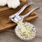 Stainless Steel Garlic Press Crusher HeavyDuty Manual Garlic Mincer Squeezer Tool 1