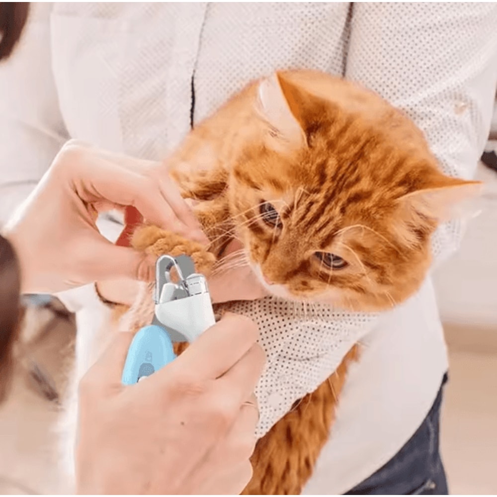 PawTrim Pro Stainless Steel Pet Nail Clippers For Cats Small Dogs 0