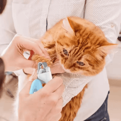 pawtrim pro stainless steel pet nail clippers for cats & small dogs