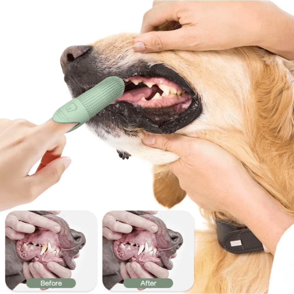 CleanPaw 360 Silicone Dog Finger Toothbrush For Cats Dogs 1